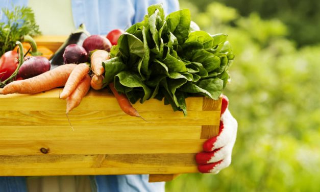 Organic Food, keys to a booming trend
