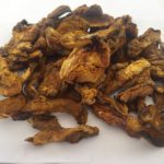 Dried Mushrooms Suillus Luteus